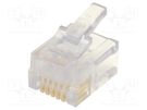 Plug; RJ12; PIN: 6; Layout: 6p6c; for cable; IDC,crimped BEL FUSE