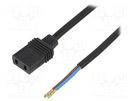 Wire: for fan supplying; Plug: straight; 0.61m EBM-PAPST