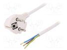 Cable; 3x1mm2; CEE 7/7 (E/F) plug angled,wires,SCHUKO plug; PVC PLASTROL