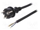 Cable; 3x1mm2; CEE 7/7 (E/F) plug,wires,SCHUKO plug; rubber; 3m PLASTROL