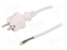 Cable; 3x1mm2; CEE 7/7 (E/F) plug,wires,SCHUKO plug; PVC; 4m PLASTROL