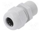 Cable gland; with long thread; PG13,5; IP68; polyamide OBO BETTERMANN
