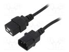 Cable; 3x1mm2; IEC C14 male,IEC C19 female; PVC; 1.8m; black; 10A AKYGA