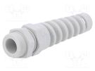 Cable gland; with strain relief; PG11; IP68; polyamide; grey HUMMEL