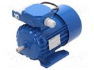 Motor: AC; 1-phase; 0.55kW; 230VAC; 1350rpm; 3.89Nm; IP54; 4.2A; arms BESEL