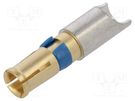 Contact; female; gold-plated; 8AWG; 40A Amphenol Communications Solutions
