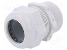 Cable gland; with long thread; M40; 1.5; IP68; polyamide OBO BETTERMANN