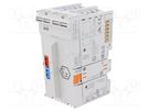 Module: mains; 48x100x70.9mm; IP20; 1A; for DIN rail mounting WAGO