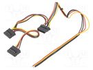 Cable: mains; Molex female,wires,SATA female x2; 0.4m AKYGA