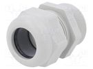 Cable gland; with long thread; PG29; IP68; polyamide; light grey OBO BETTERMANN