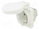 Connector: AC supply; socket; 2P+PE; 250VAC; 16A; white; PIN: 3; IP54 PCE