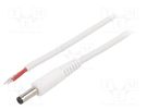 Cable; 1x1mm2; wires,DC 4,8/1,7 plug; straight; white; 0.5m WEST POL