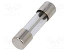 Fuse: fuse; time-lag; 315mA; 250VAC; cylindrical,glass; 5x20mm SCHURTER