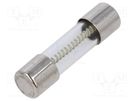 Fuse: fuse; time-lag; 2A; 250VAC; cylindrical,glass; 5x20mm; copper SCHURTER