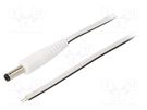 Cable; 2x0.5mm2; wires,DC 4,8/1,7 plug; straight; white; 0.5m WEST POL