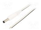Cable; 2x0.5mm2; wires,DC 4,8/1,7 plug; straight; white; 1.5m WEST POL
