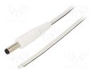 Cable; 2x0.35mm2; wires,DC 4,8/1,7 plug; straight; white; 1.5m WEST POL