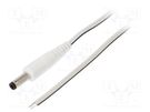 Cable; 2x0.35mm2; wires,DC 4,8/1,7 plug; straight; white; 0.5m WEST POL