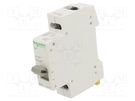 Switch-disconnector; Poles: 2; for DIN rail mounting; 32A; 415VAC SCHNEIDER ELECTRIC