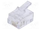 Plug; RJ11; PIN: 4; Layout: 6p4c; for cable; IDC,crimped BM GROUP