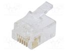Plug; RJ12; PIN: 6; Layout: 6p6c; for cable; IDC,crimped BM GROUP