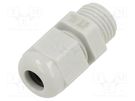 Cable gland; without nut; PG7; IP68; polyamide; light grey TE Connectivity