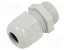 Cable gland; without nut; PG11; IP68; polyamide; light grey TE Connectivity