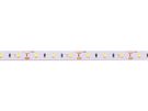 LED strip, 12V, 4.8W/m, non-waterproof, neutral white, 115lm/W, AKTO