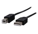 Cable USB A male - B male 3m