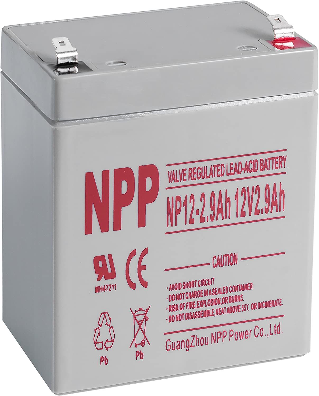 Akumulators 12V 2.9Ah T1(F1) Pb AGM NPP