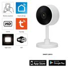 SMART-CAM10 Smart Wi-Fi camera IP camera suitable for home automation